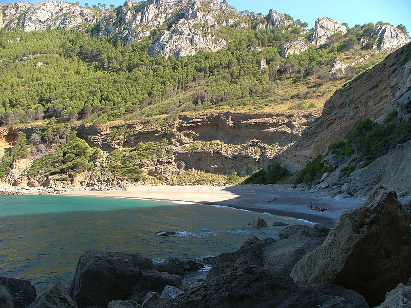 Coll_baix_beach_alcudia